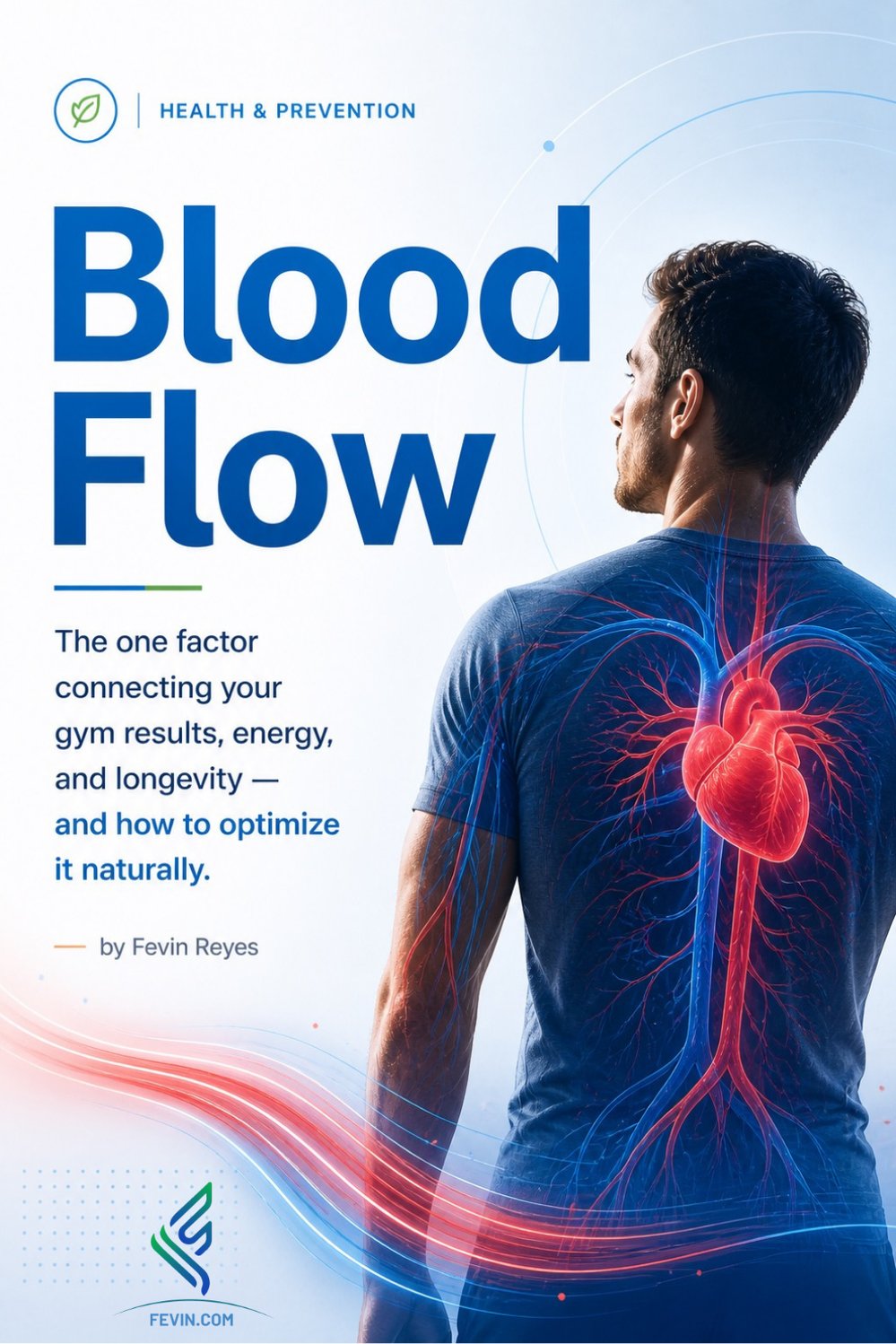 Blog Cover - Blood Flow The Hidden Key to Muscle, Fat Loss & Better Health-2
