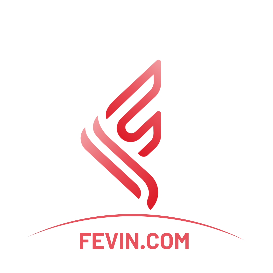 FEVIN.COM-3